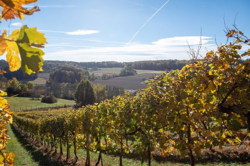 Herbststimmung